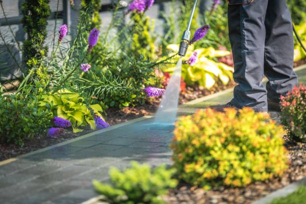 Best Driveway Pressure Washing  in Centerport, NY